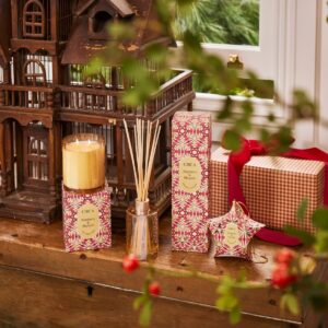 Alternative view of CIRCA Fragrance Diffuser 250ml – Raspberry and Rhubarb