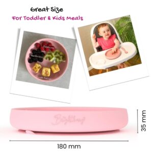 Alternative view of Brightberry Easy-Scooping Suction Plate