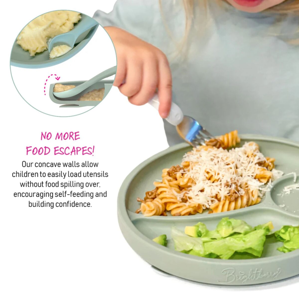 Brightberry Divided Suction Plate - Image 4
