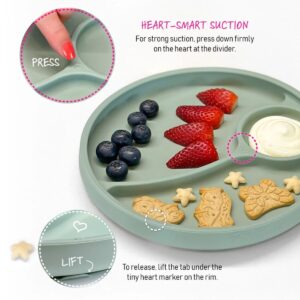 Alternative view of Brightberry Divided Suction Plate